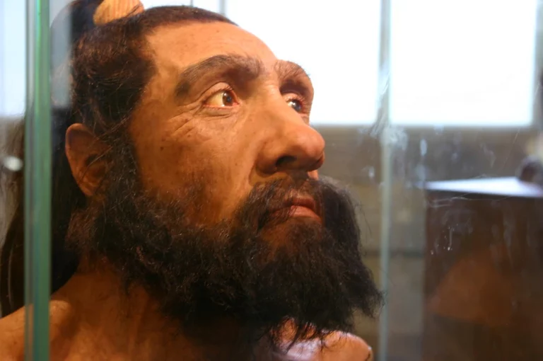 ősi emberfaj neandervölgyi ember emberiség