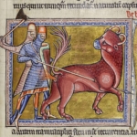 Bonnacon