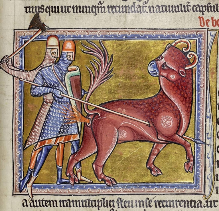 Bonnacon