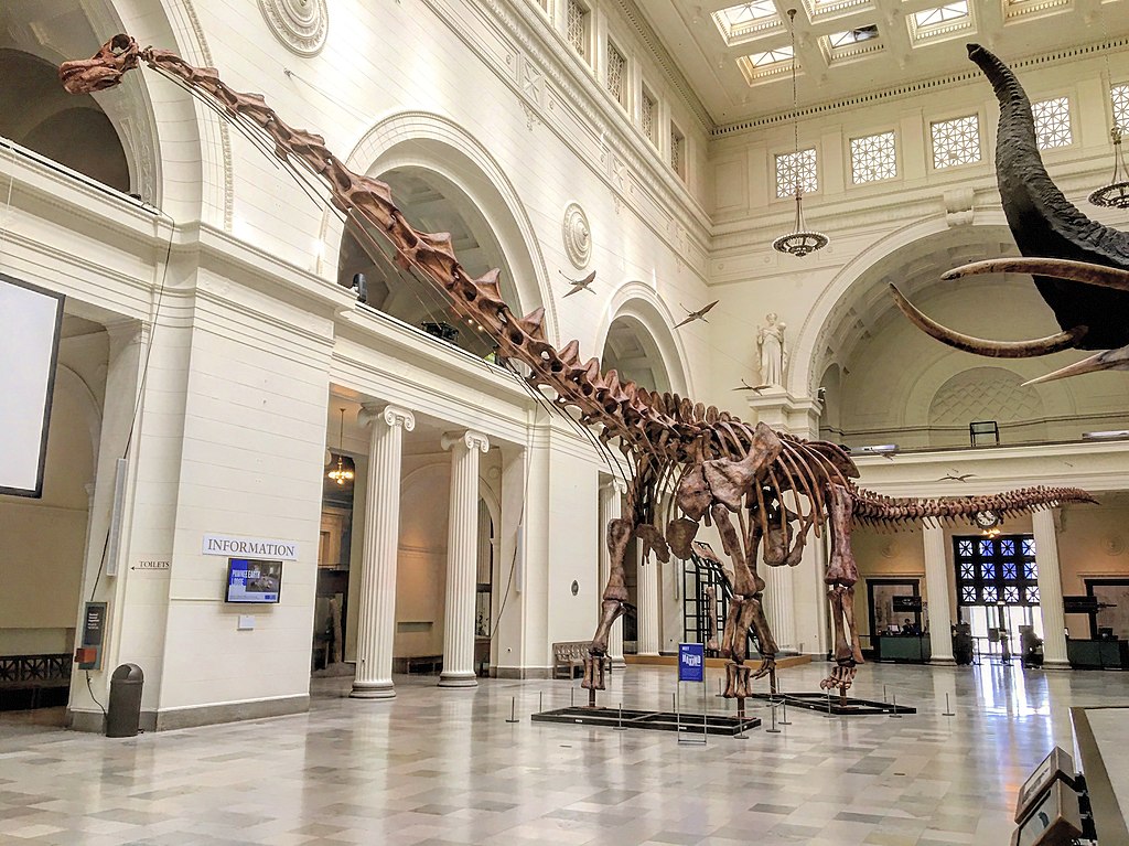 dinoszaurusz fosszília titanoszaurusz