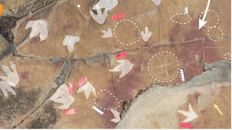 dinoszaurusz lábnyomok sziklarajzok