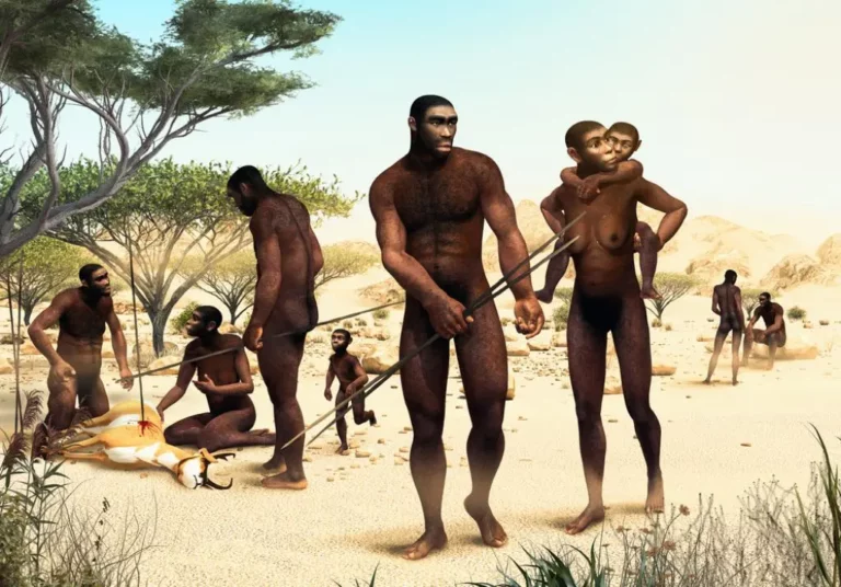 Homo erectus hajóépítés, nyelv emberi faj