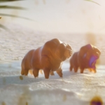 medveállatka Tardigrade tardigrada medveállatkák