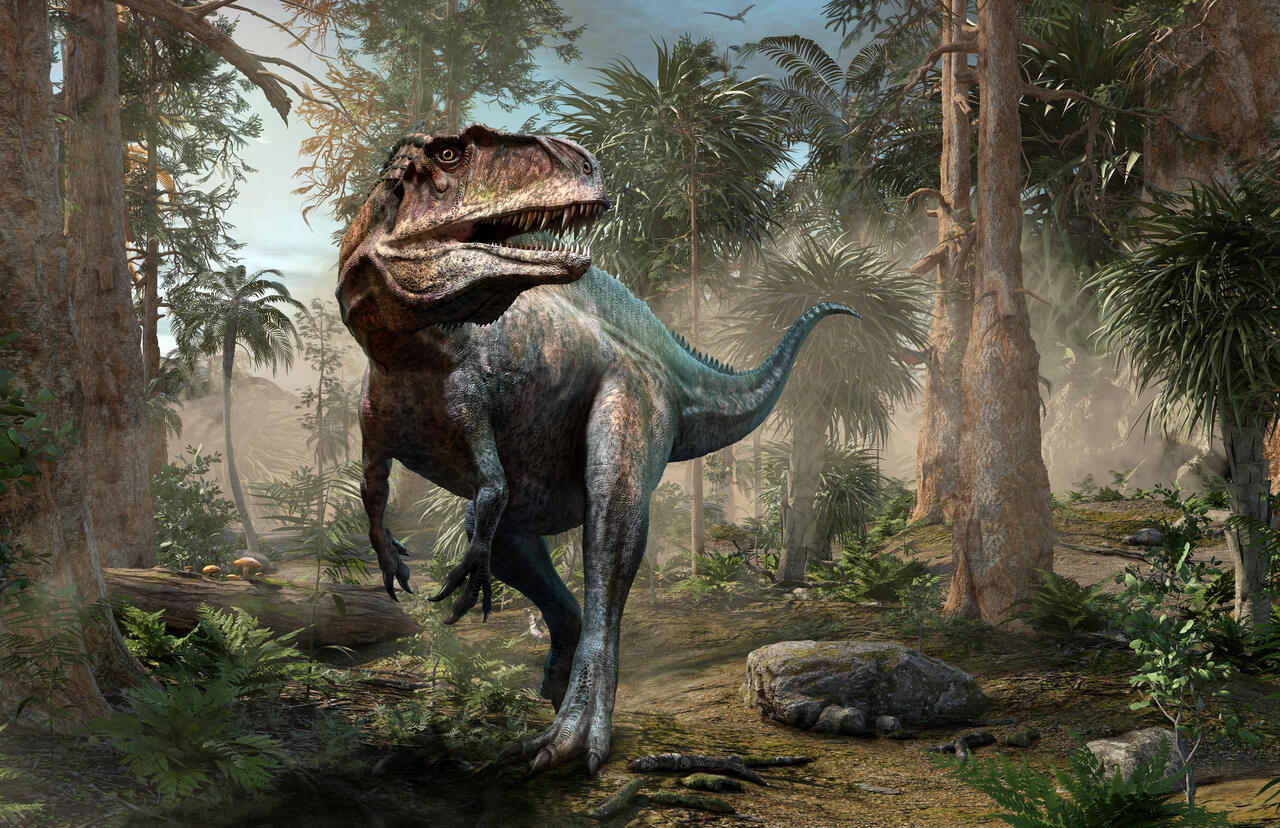 tyrannosaurusz rex trex dinoszaurusz