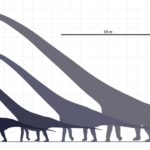 legnagyobb szárazföldi állat dinoszaurusz