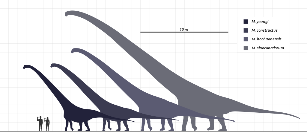 legnagyobb szárazföldi állat dinoszaurusz