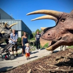 dinopark köki budapest dínókiállítás