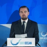leonardo dicaprio veszélyeztetett fajok