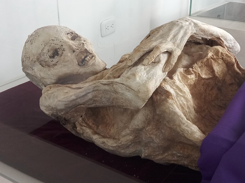 Mumifikálódott holttest, San Bernardo