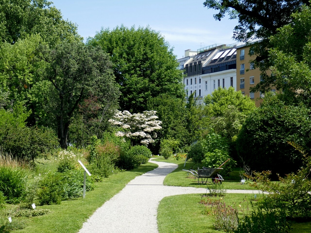 A Bécsi Egyetem botanikus kertje