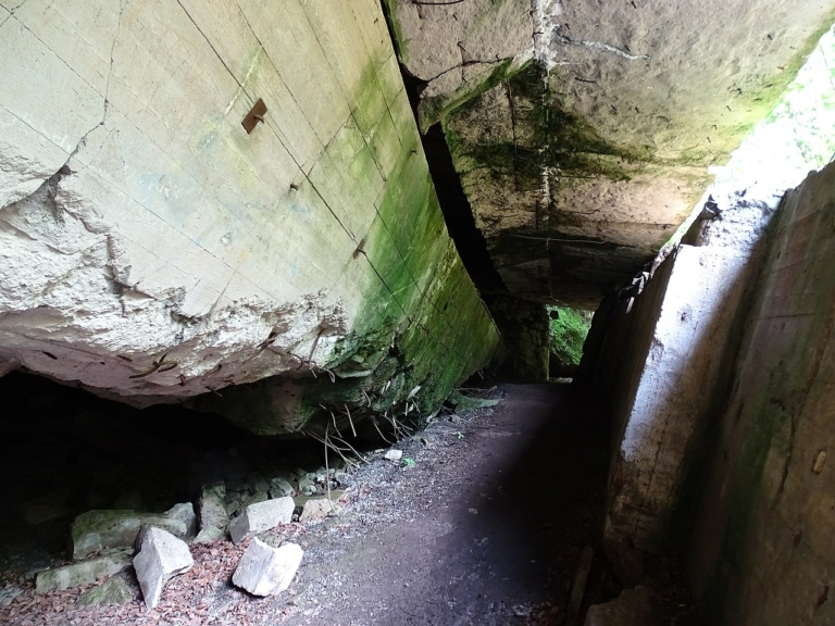 Göring bunkere a Farkasveremben