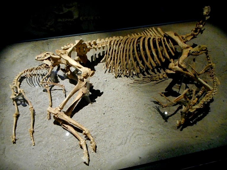 Pogányok keresztények állat áldozatok