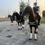 Taskent Nemzetközi Befektetési Fórumot (Tashkent International Investment Forum – TIIF). Fotó: Daily News Hungary