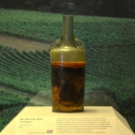 speyeri borosüveg