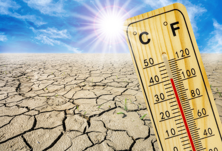 átlaghőmérséklet