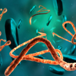 ebolavírus