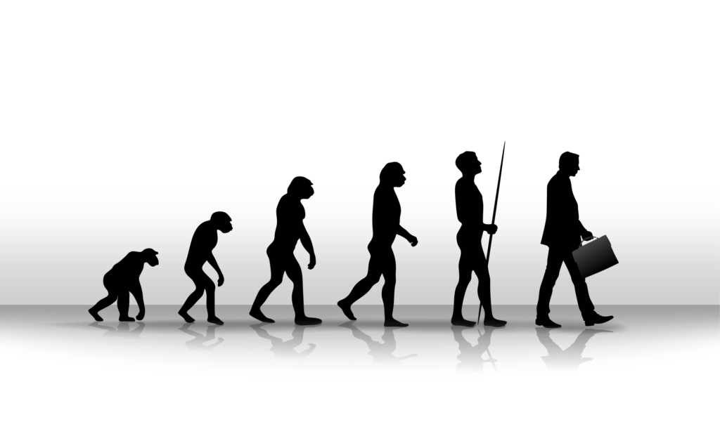 Emberi evolúció