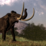 mamut csontok leletek