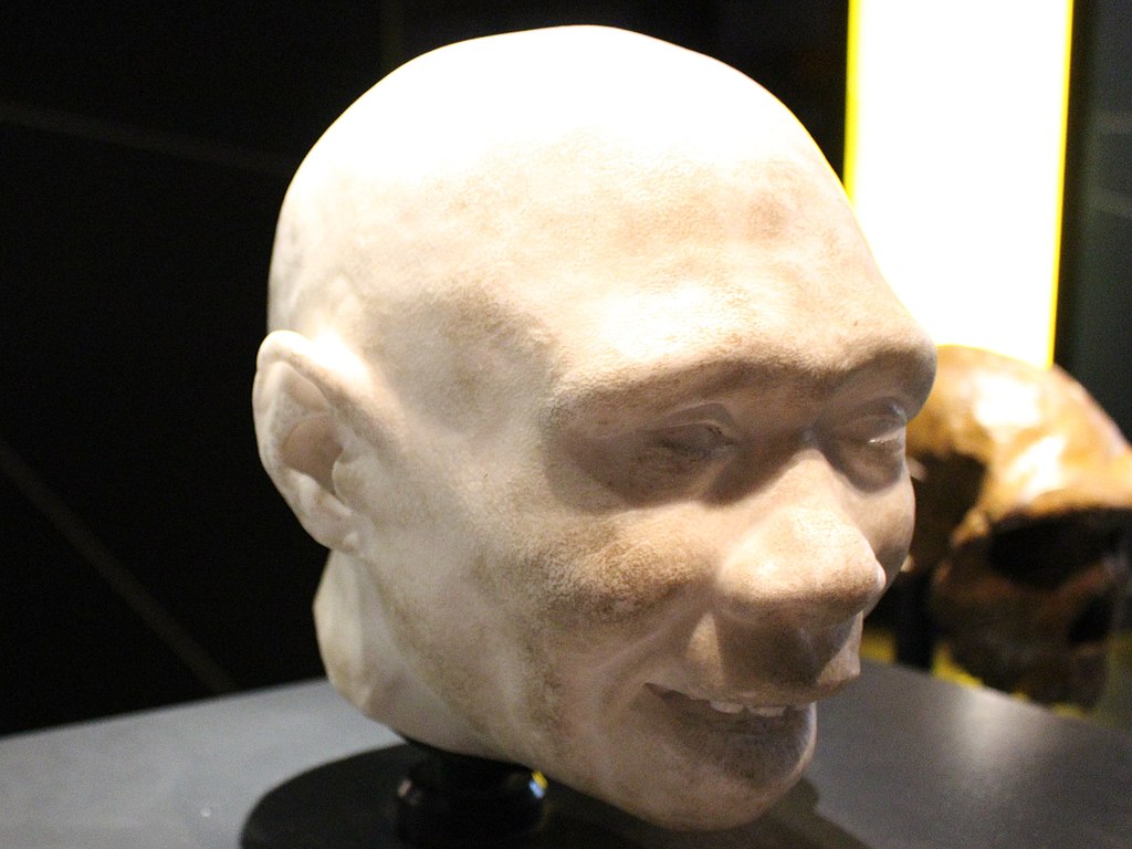 homo sapiens távoli rokon homo antecessor
