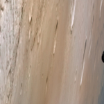 Mars holdja Phobos