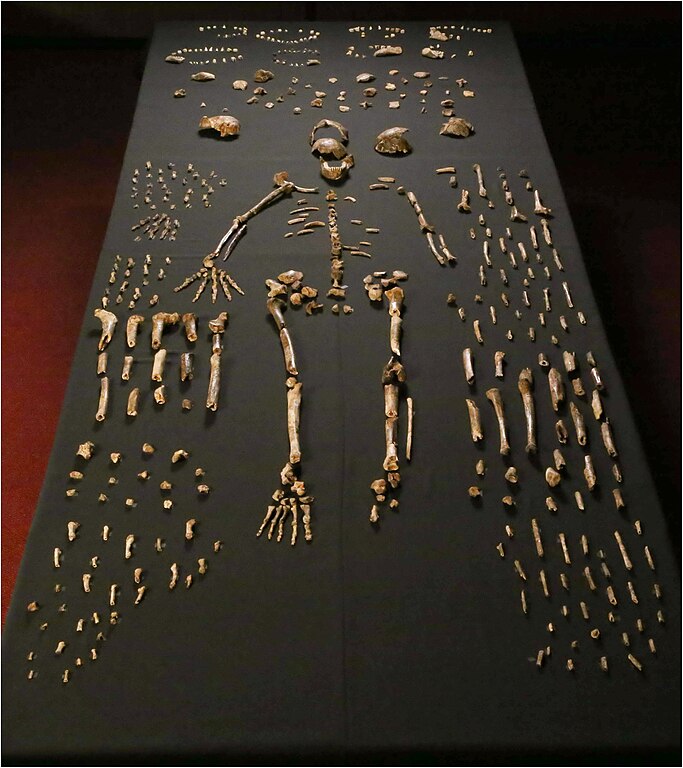 homo naledi csontok temetkezés