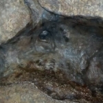 orrszarvú barlang