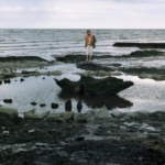 seahenge