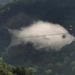 teszt