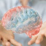 agy neurobiológus ideggyógyász