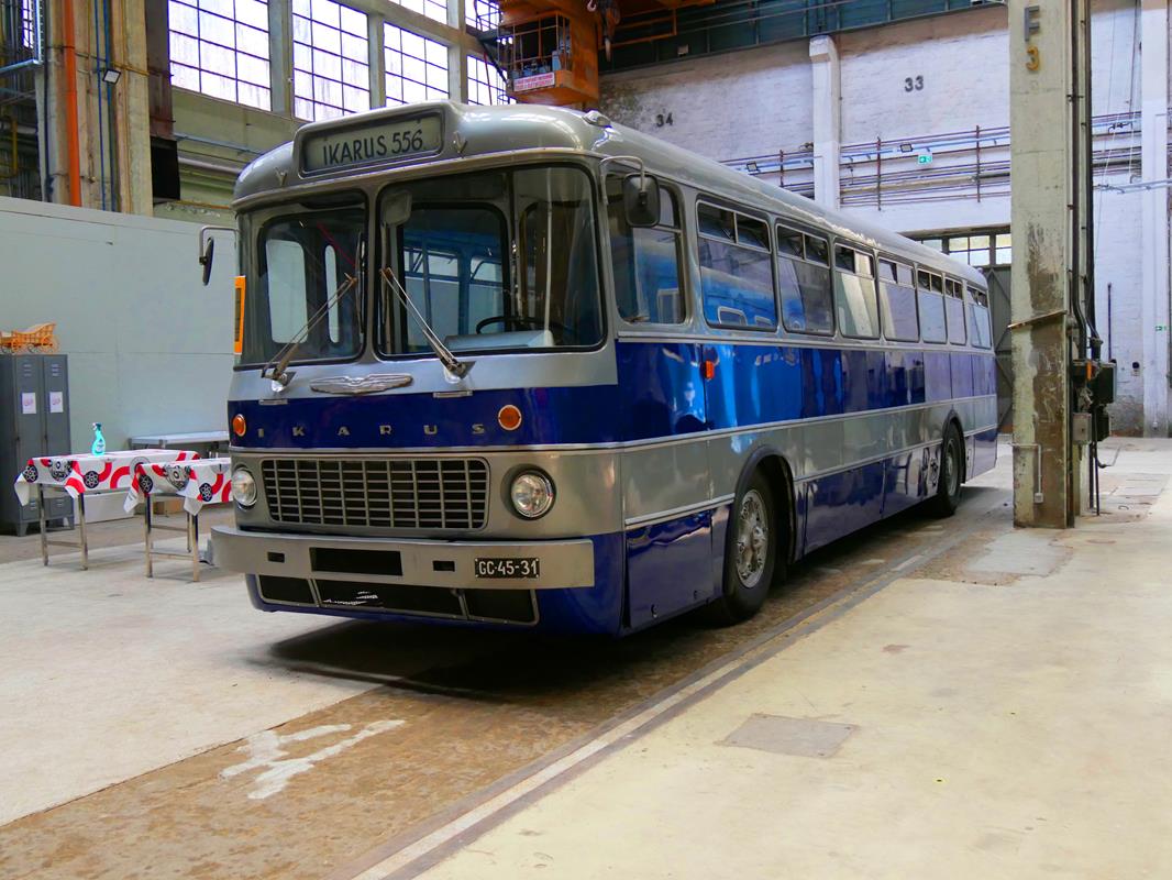 Ikarus 556