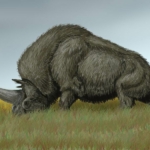 szibériai egyszarvú Elasmotherium