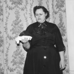 Ann Hodges meteorit