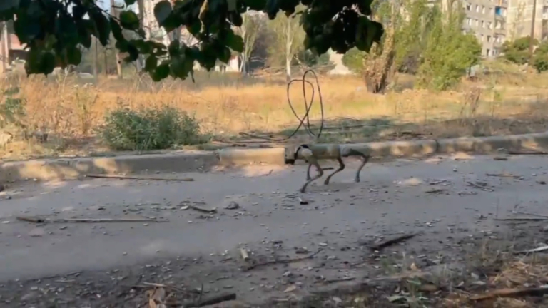 Ukrajna Oroszország háború robotkutyák
