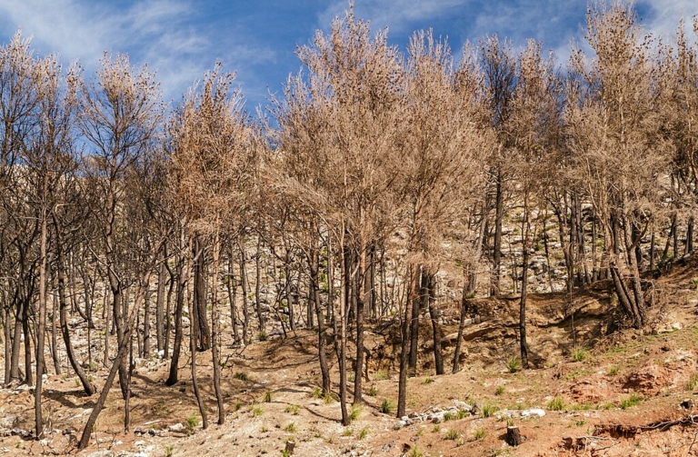 Hőmérséklet-változások