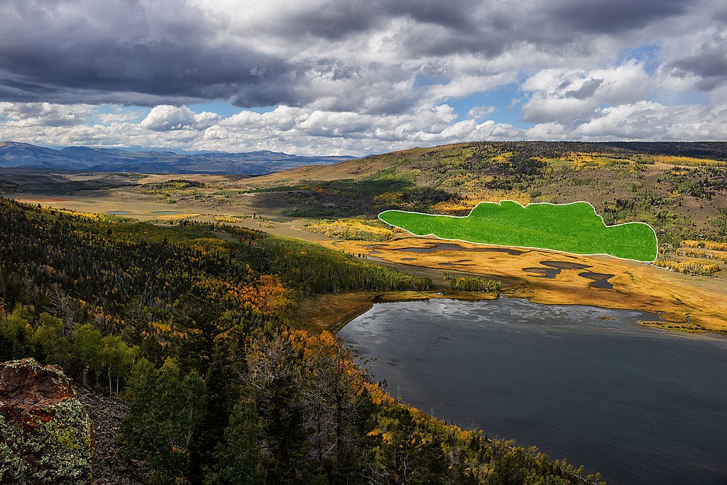 Pando - a legnagyobb élő szervezet