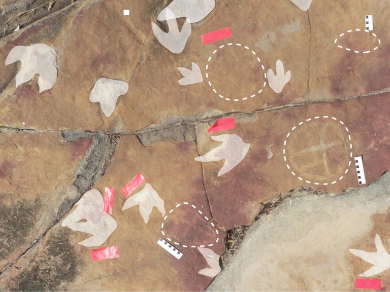 dinoszaurusz lábnyomok ősemberek