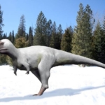 Nanuqsaurus tyrannosaurus