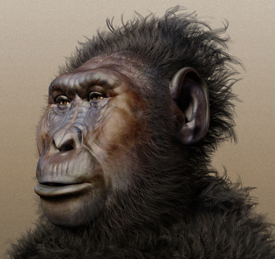 paranthropus boisei ősember emberi faj