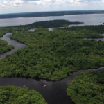 Amazonas folyó vidéke Brazília