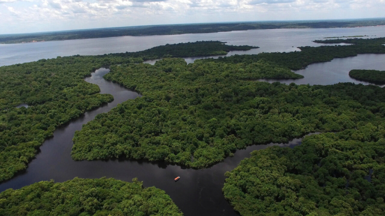 Amazonas folyó vidéke Brazília