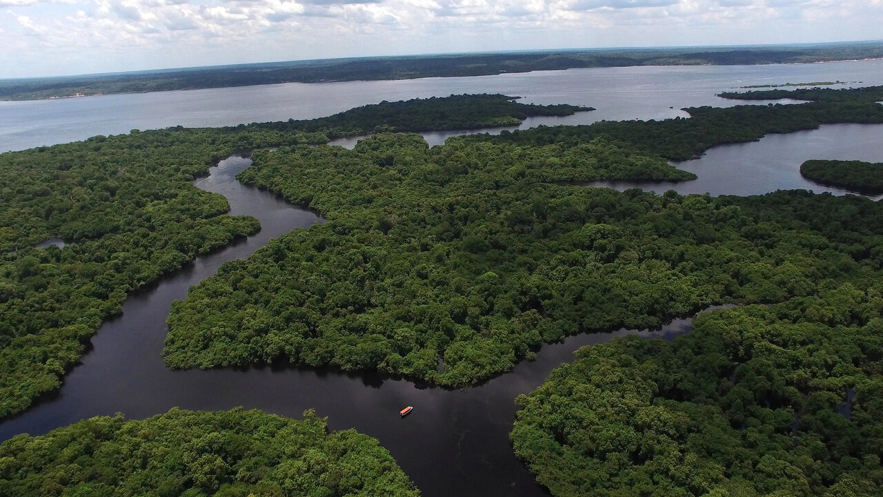 Amazonas folyó vidéke Brazília