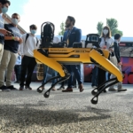 robotok robotkutya