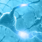 axon idegsejt neuron illusztráció