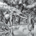 megafauna óriási emlősök emberek