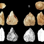 Ősi kőeszközök afrika tanulmány ember