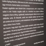 Puskás Múzeum Budapest Puskás Aréna