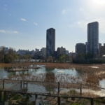 08 - Japán 2024
