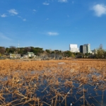 10 - Japán 2024