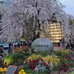 Tokió, Japán - 2024