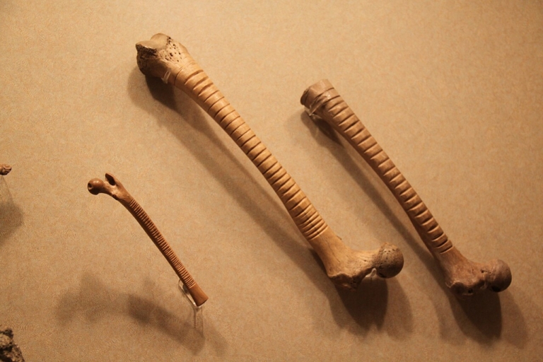 amerika emberi csont hangszerek